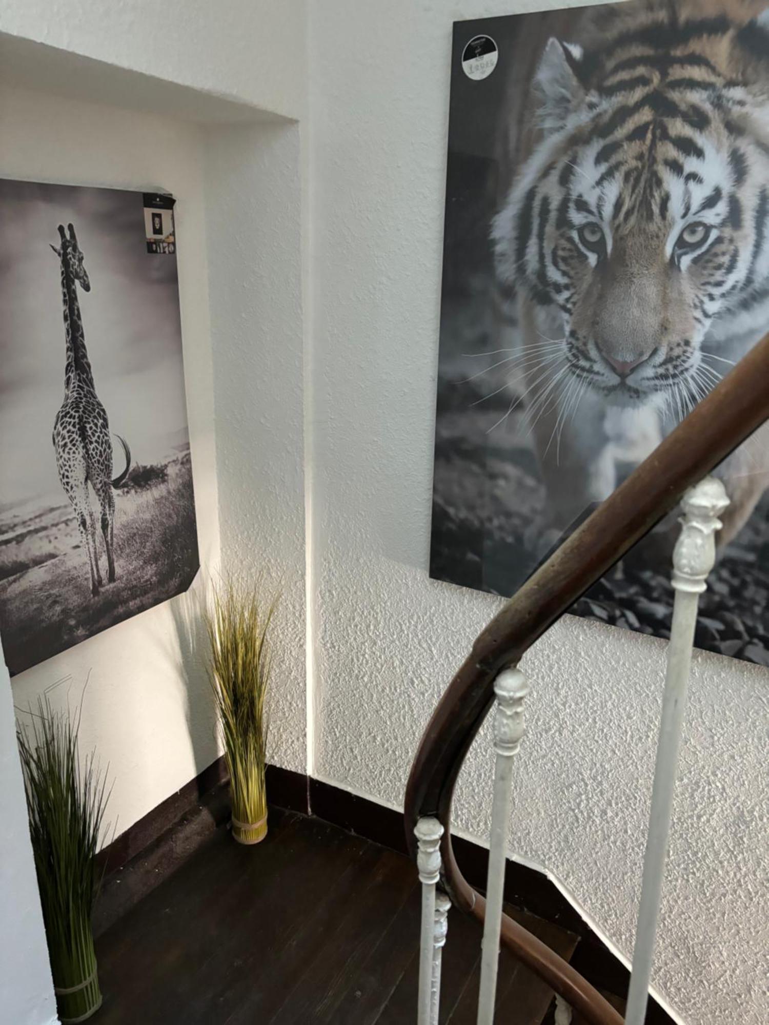 Апартаменты Le Duplex Safari Сент-Эньян Экстерьер фото